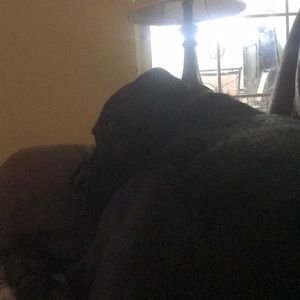 Meet your Posher, Steve